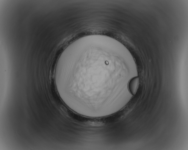 X0000083040644200703022049