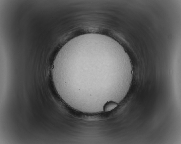 X0000083040645200703022049
