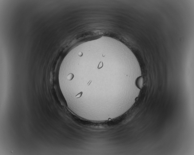 X0000083040646200703022049