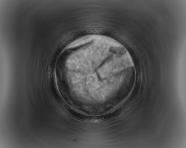 X0000083040647200703022049