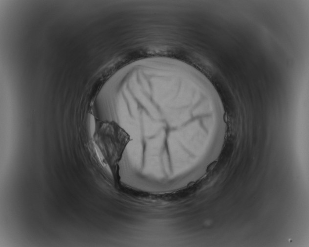 X0000083040648200703022049