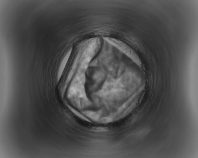 X0000083040649200703022049