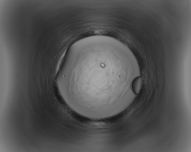X0000083040650200703022049