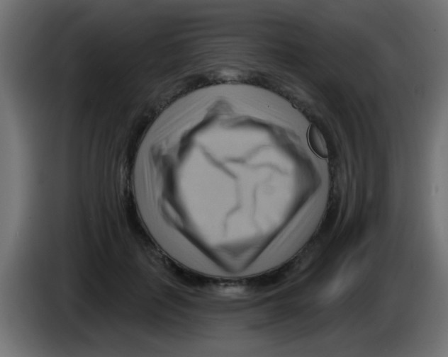X0000083040651200703022049