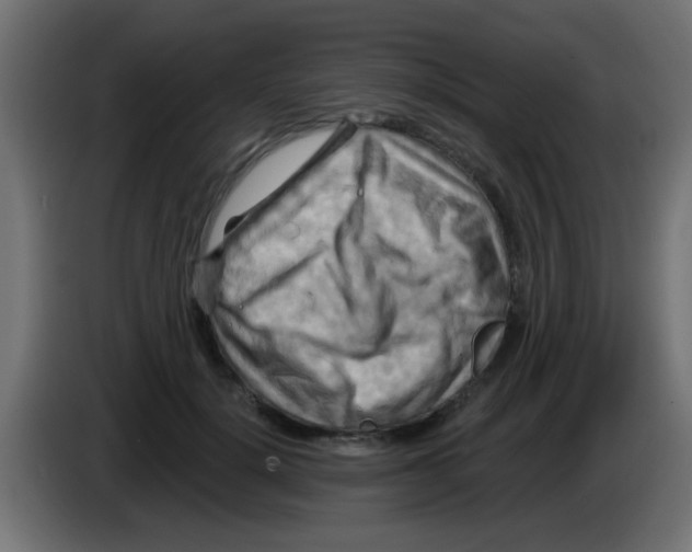 X0000083040652200703022050