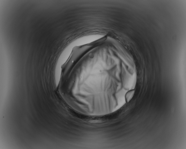X0000083040653200703022050