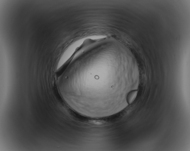 X0000083040654200703022050