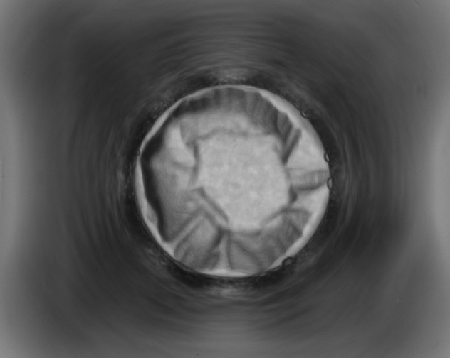 X0000083040655200703022050