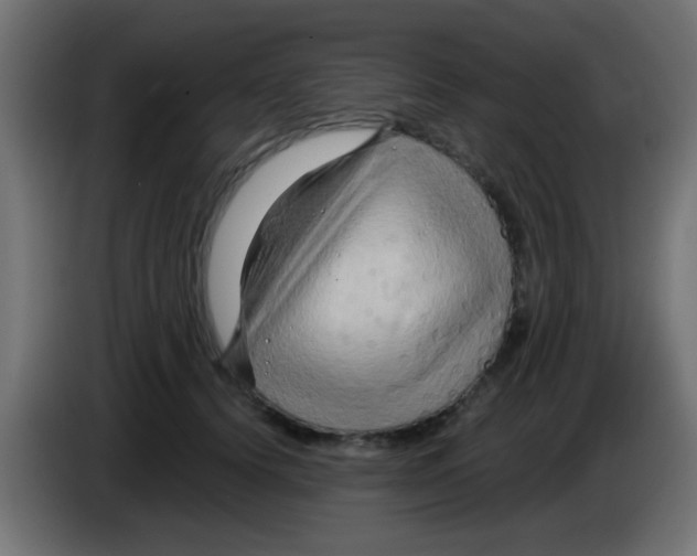 X0000083040656200703022050
