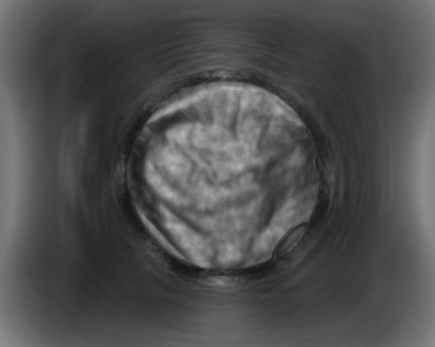 X0000083040657200703022050