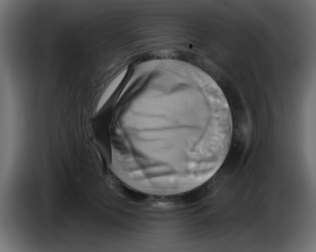X0000083040658200703022050