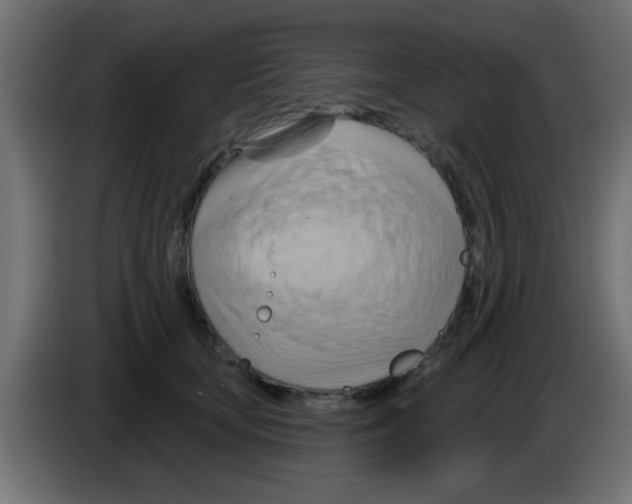X0000083040659200703022050