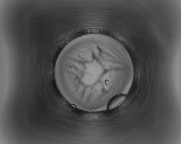 X0000083040661200703022050