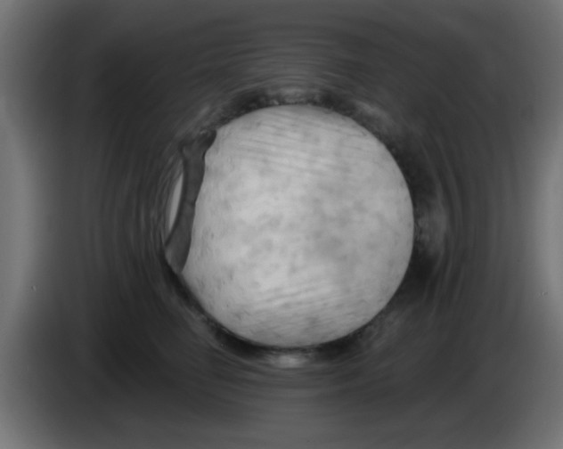 X0000083040662200703022050