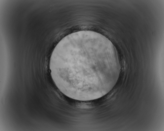 X0000083040664200703022050