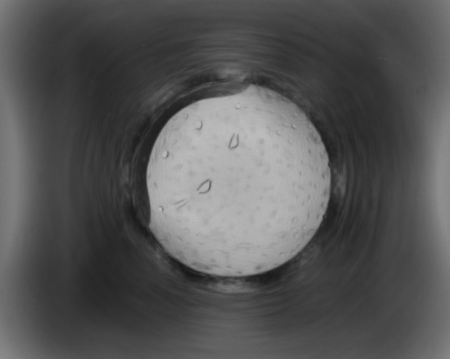X0000083040666200703022050