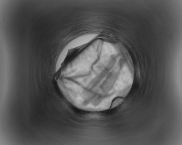 X0000083040668200703022050