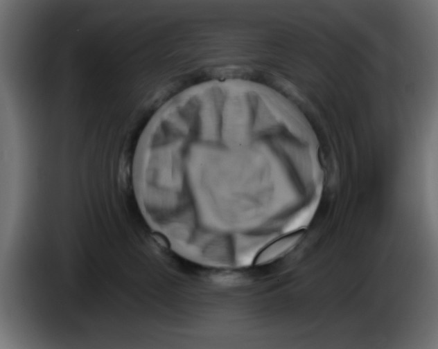 X0000083040669200703022050