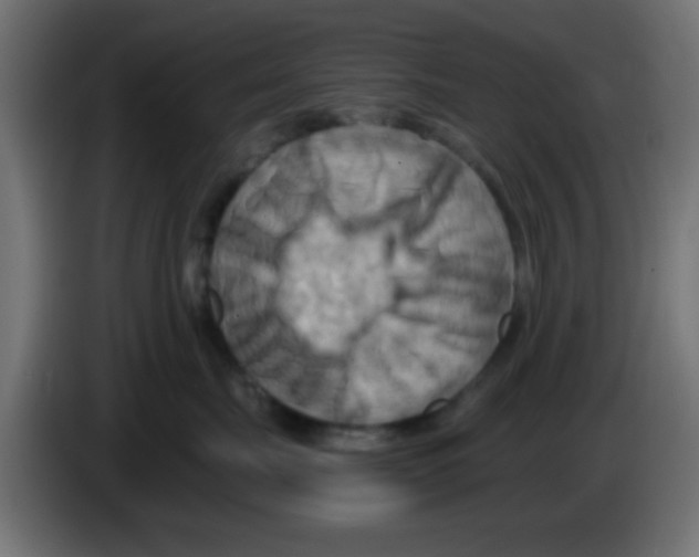 X0000083040671200703022050