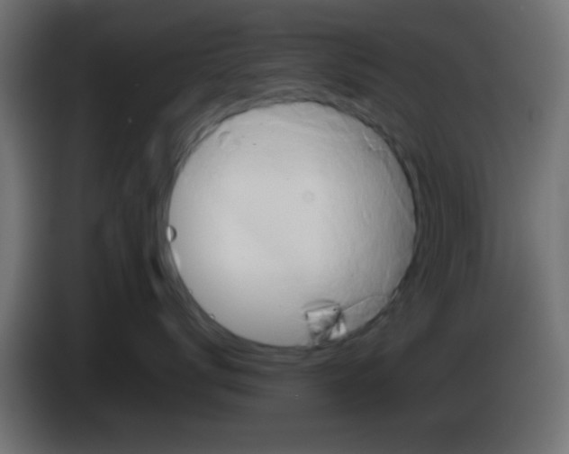 X0000083040672200703022050