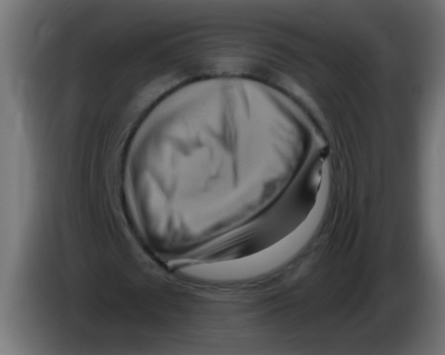 X0000083040673200703022049