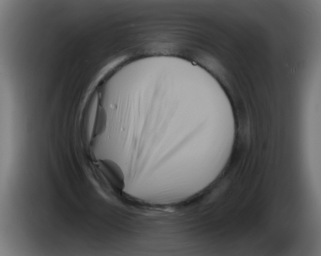 X0000083040674200703022049