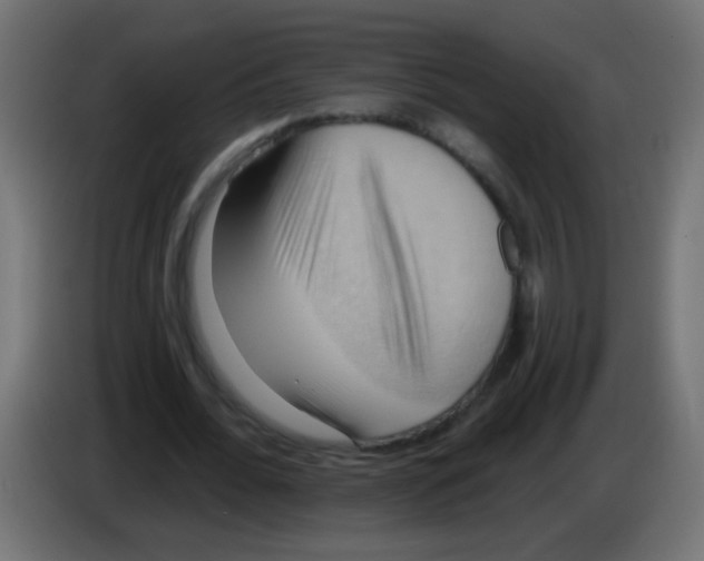 X0000083040676200703022049