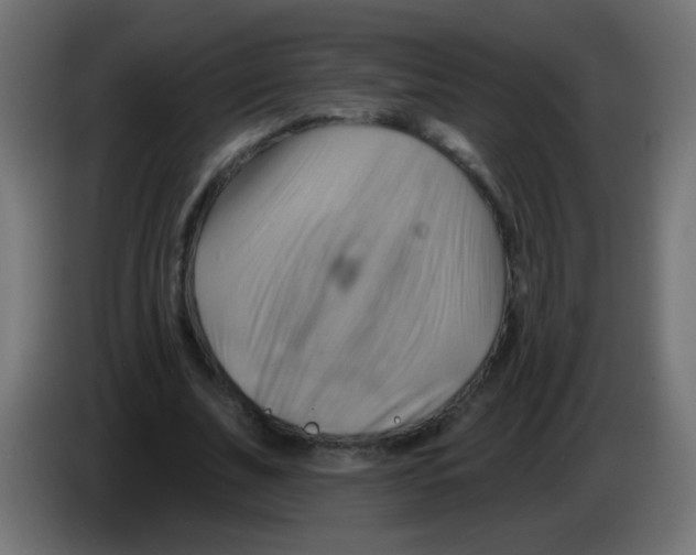 X0000083040679200703022049