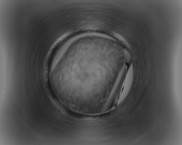 X0000083040680200703022049