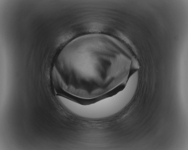 X0000083040681200703022049