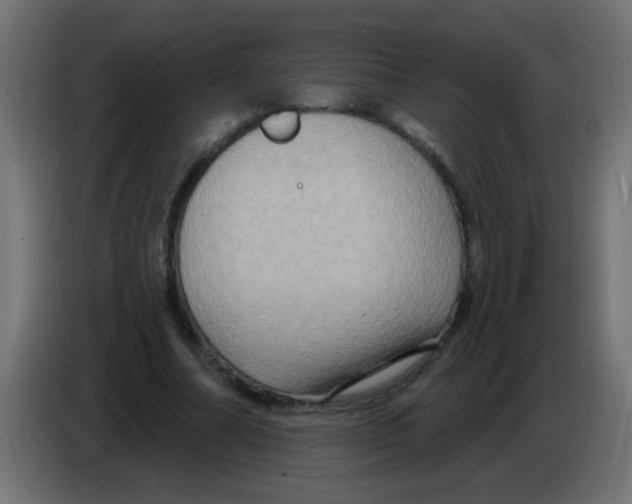 X0000083040682200703022049