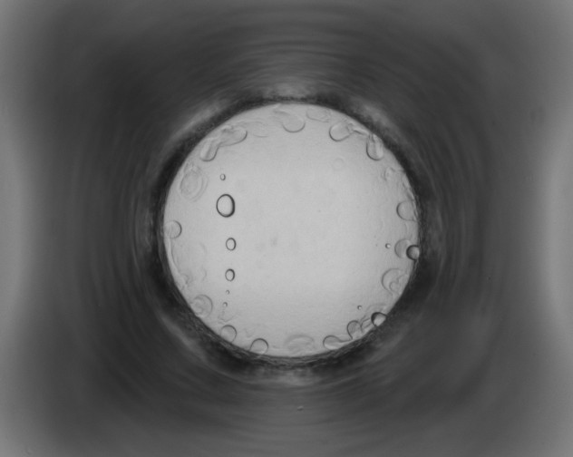 X0000083040683200703022049
