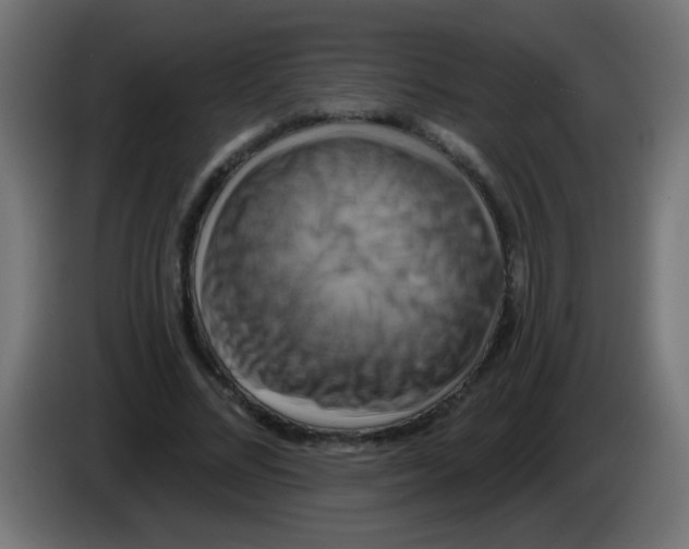 X0000083040684200703022049