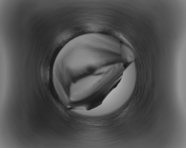X0000083040685200703022049