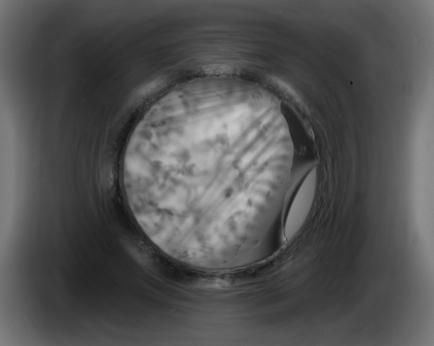 X0000083040687200703022049