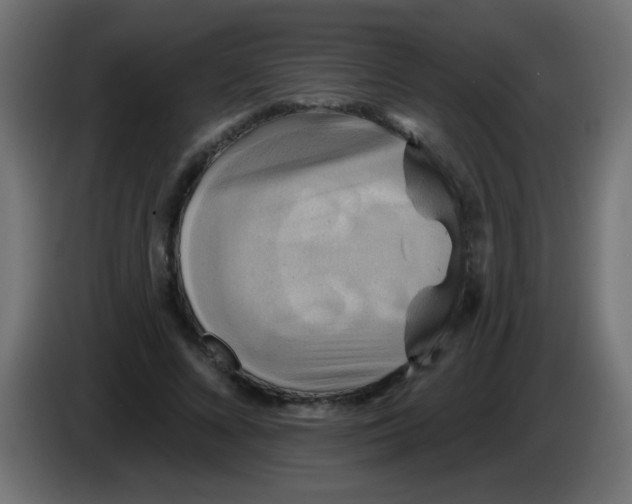 X0000083040688200703022049