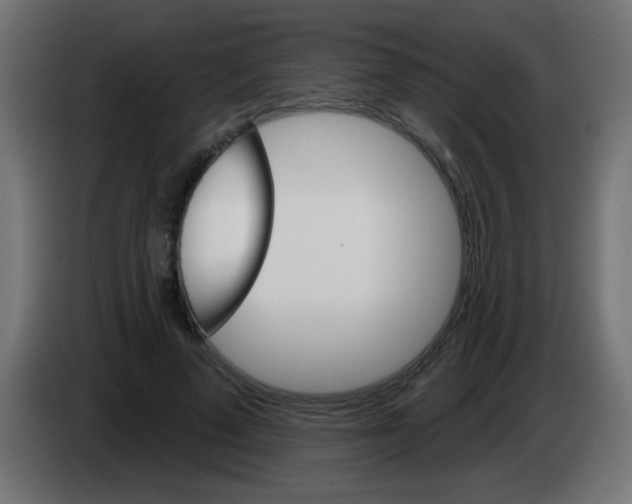 X0000083040689200703022049