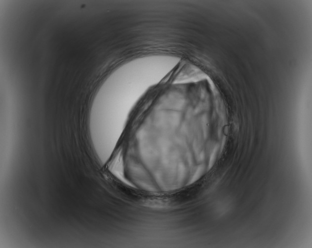 X0000083040691200703022049