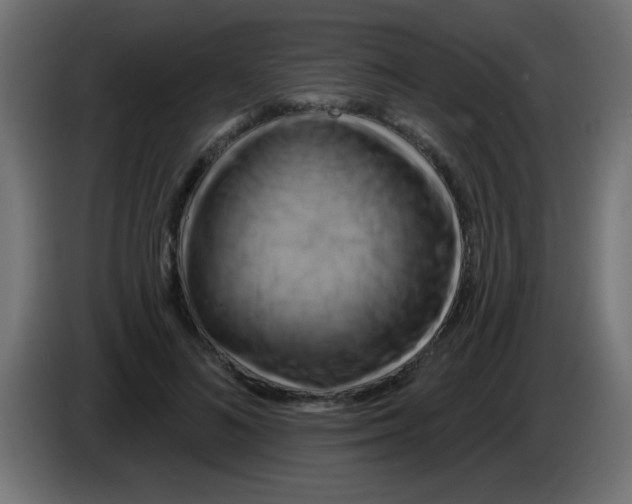 X0000083040692200703022049