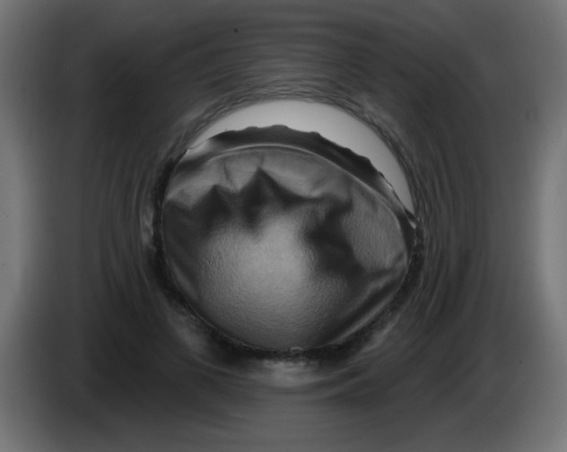 X0000083040693200703022049