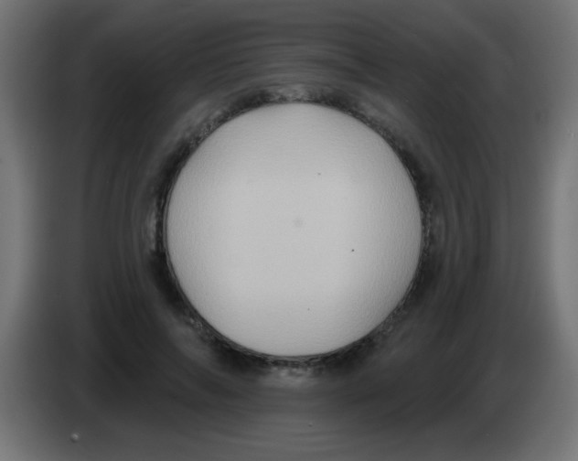 X0000083040694200703022049