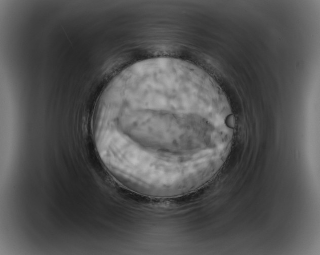 X0000083040695200703022049