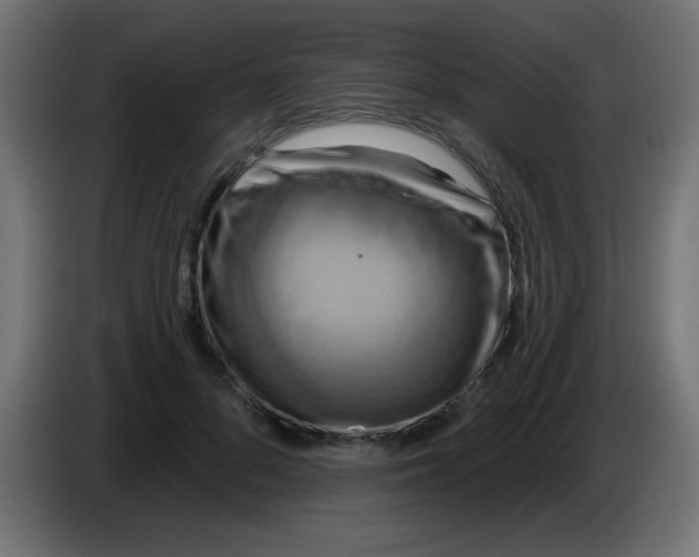 X0000083040696200703022049