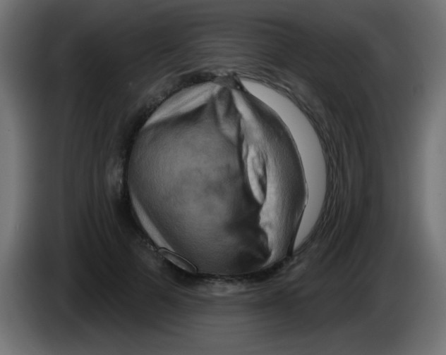 X0000083040697200703022049