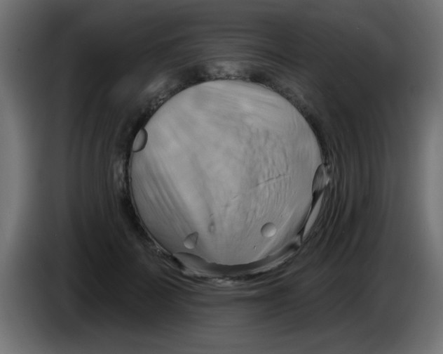X0000083040699200703022049