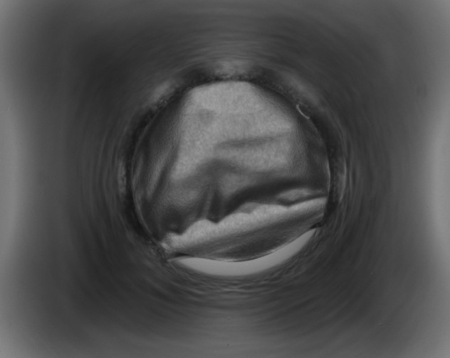 X0000083040700200703022049