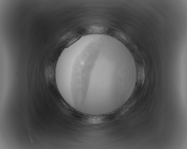 X0000083040701200703022049