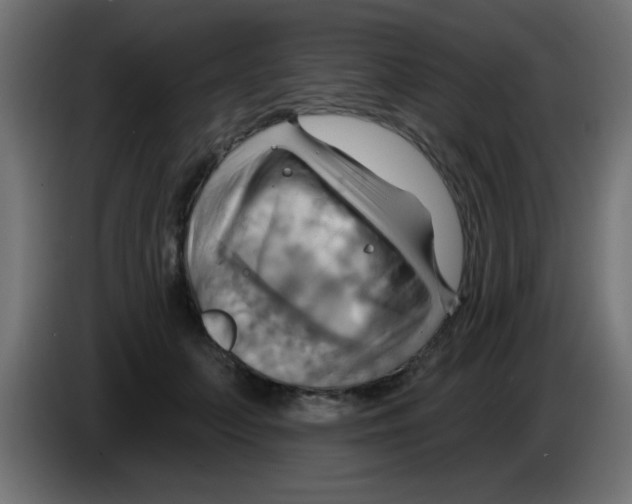 X0000083040703200703022049