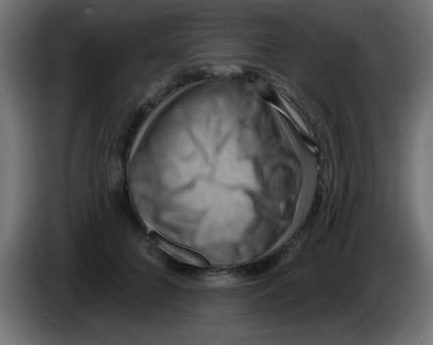 X0000083040704200703022049