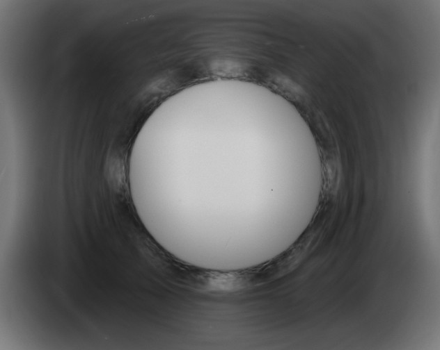 X0000083040705200703022049